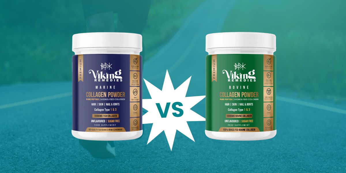 Bovine vs Marine Collagen | Which Is Better for Fitness Enthusiasts?