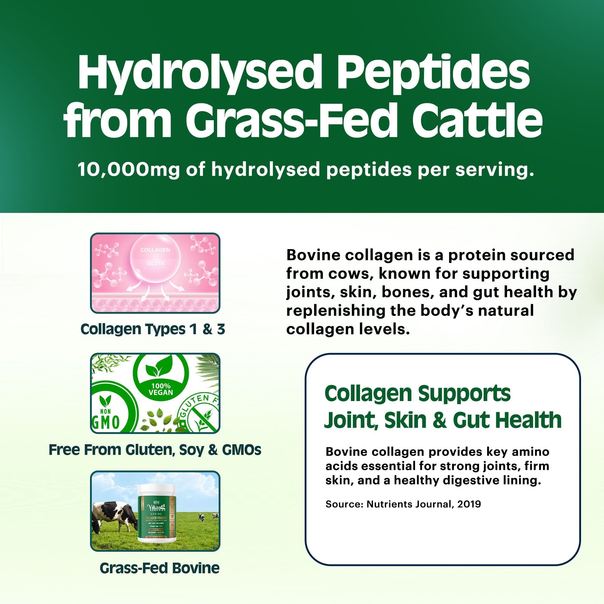 Bovine Collagen Powder from grass-fed cattle – natural hydrolysed supplement for skin rejuvenation, healthy hair, and joint comfort.